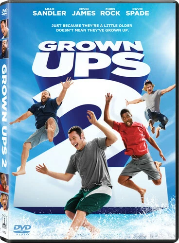 Grown Ups 2 (DVD, 2013)